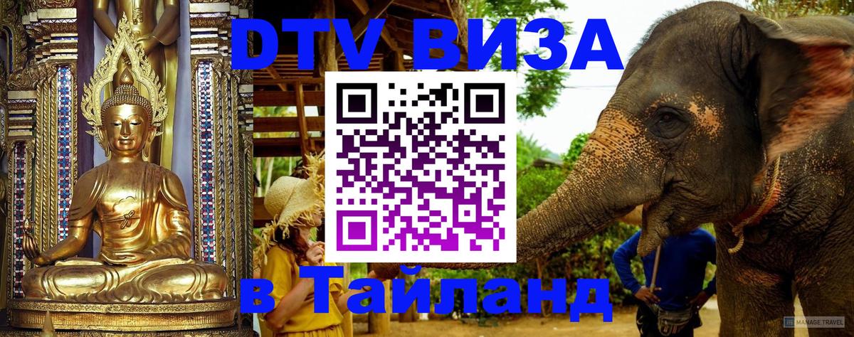 Оформление DTV визы под ключ: стоимость и тарифы, только загранпаспорт - Саратов 